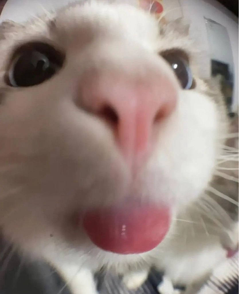 jd**** profile image