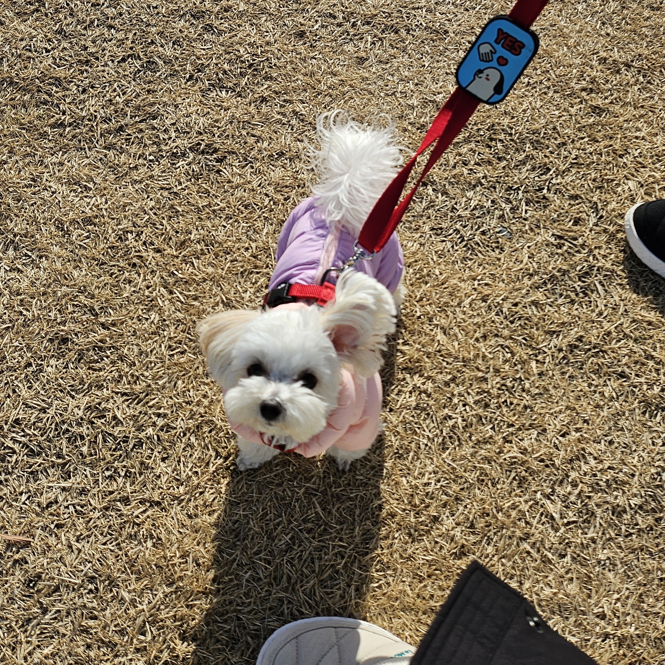 yu*********** profile image