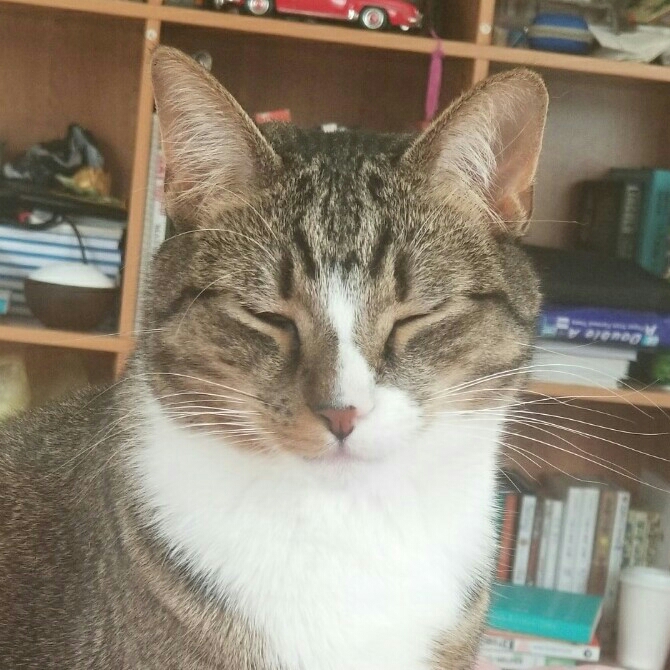ss***** profile image