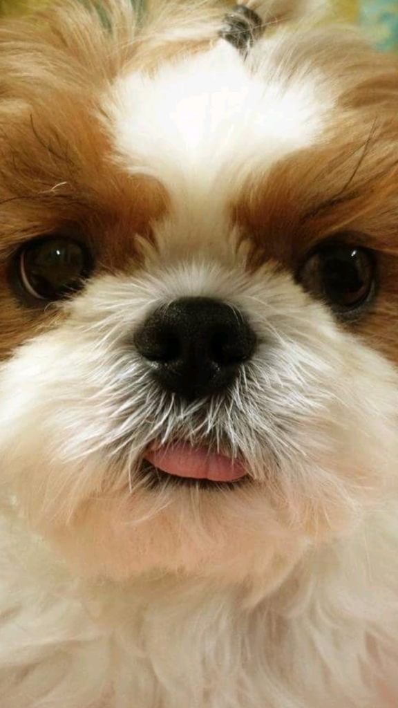 dm********** profile image
