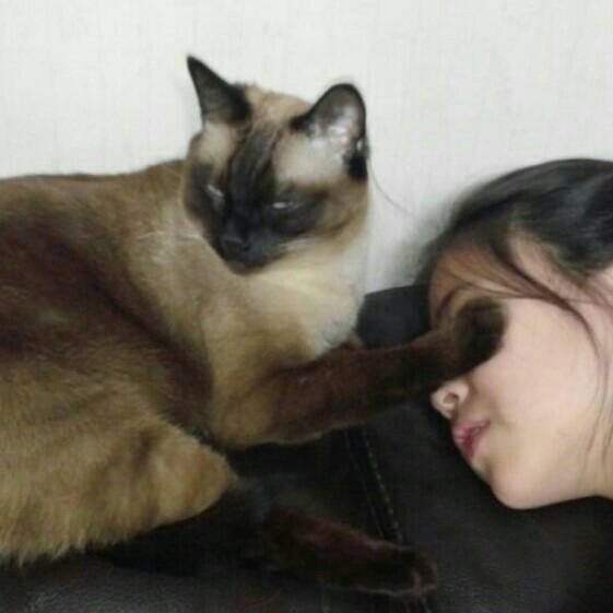 cs******** profile image