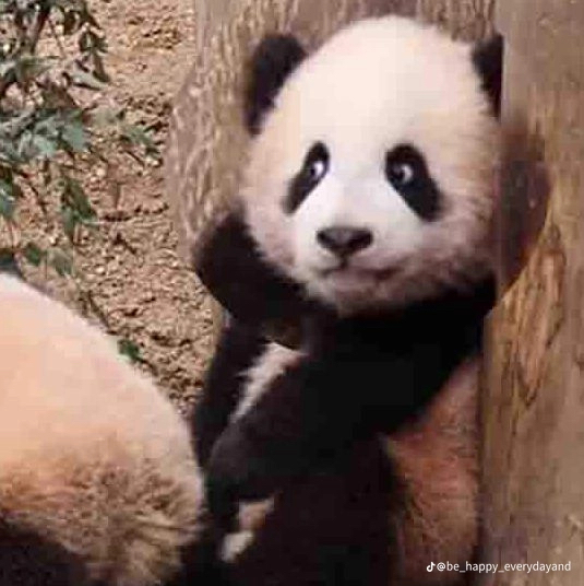 ma************* profile image