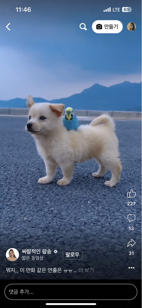 dx******** profile image