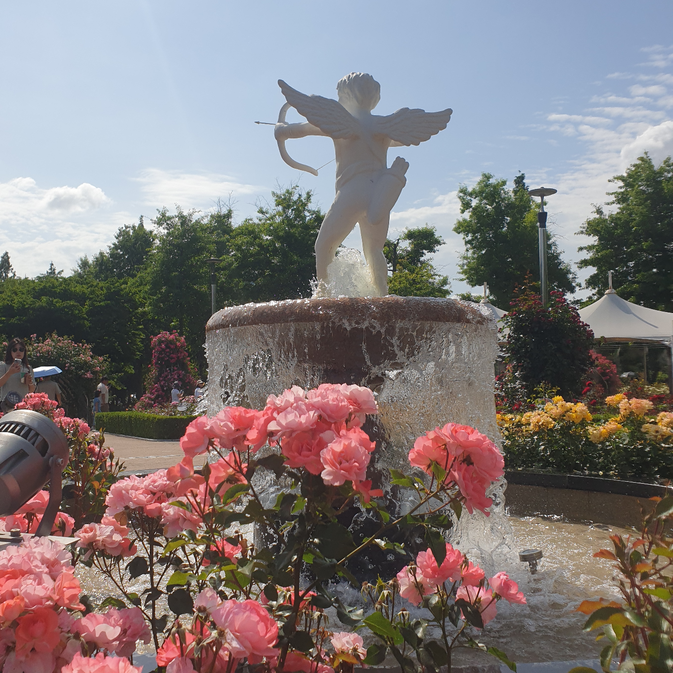 kj***** profile image