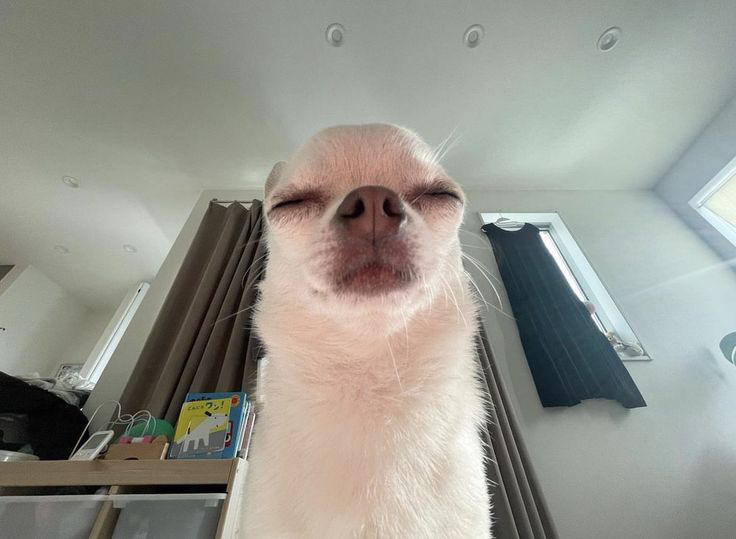 ub******* profile image