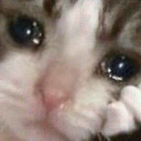 ha****** profile image