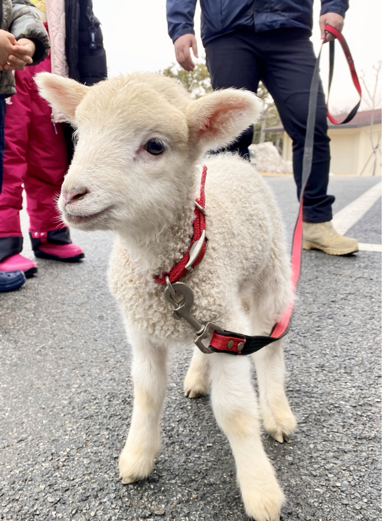 tp****** profile image