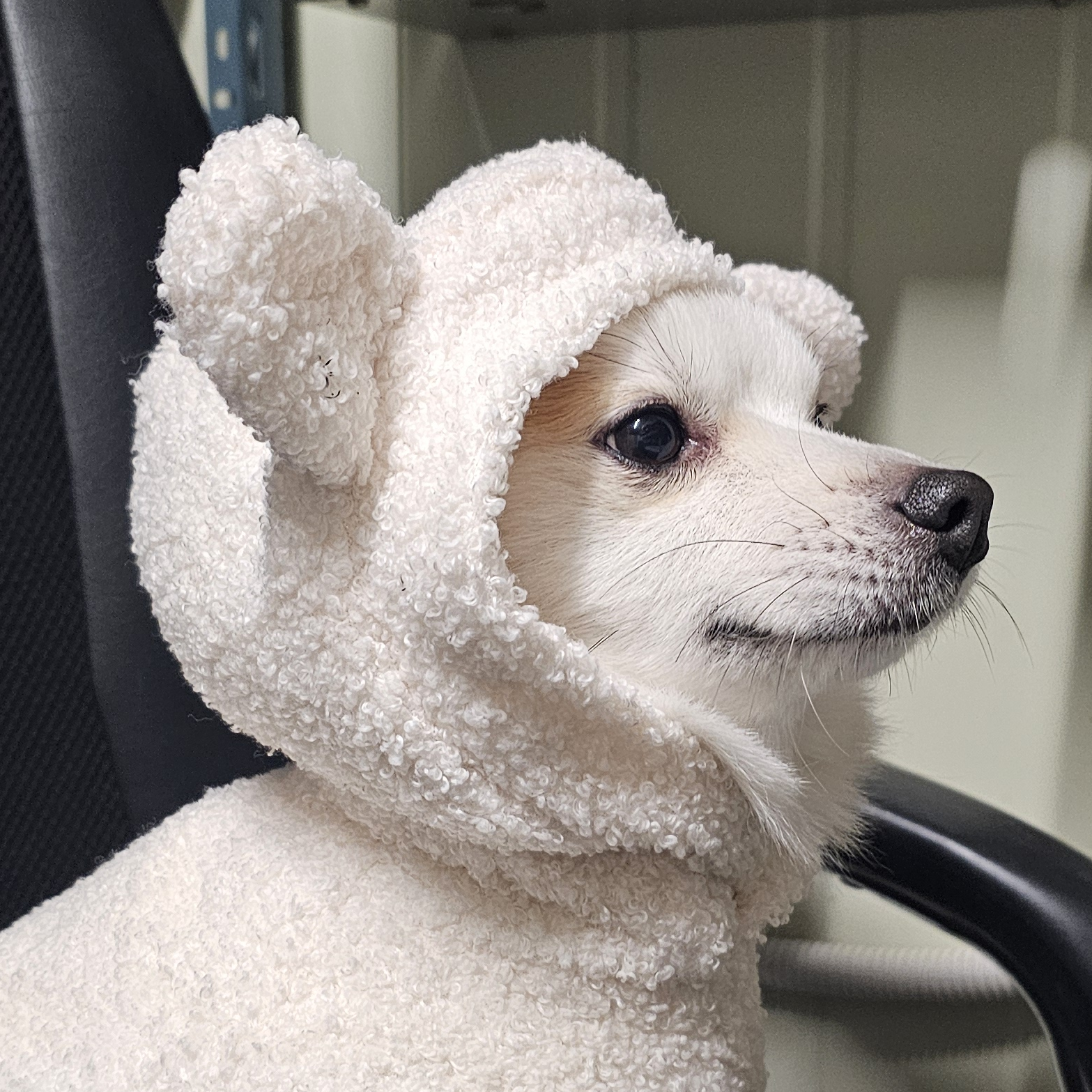 tn******* profile image