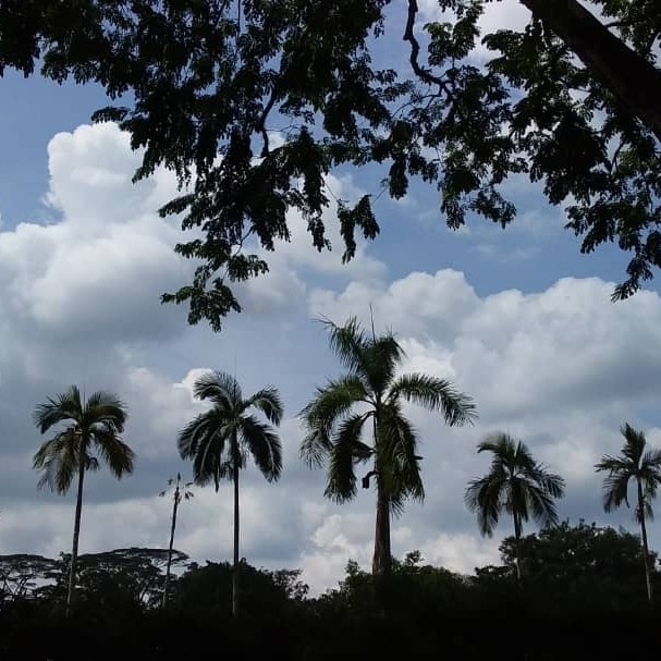 po************ profile image