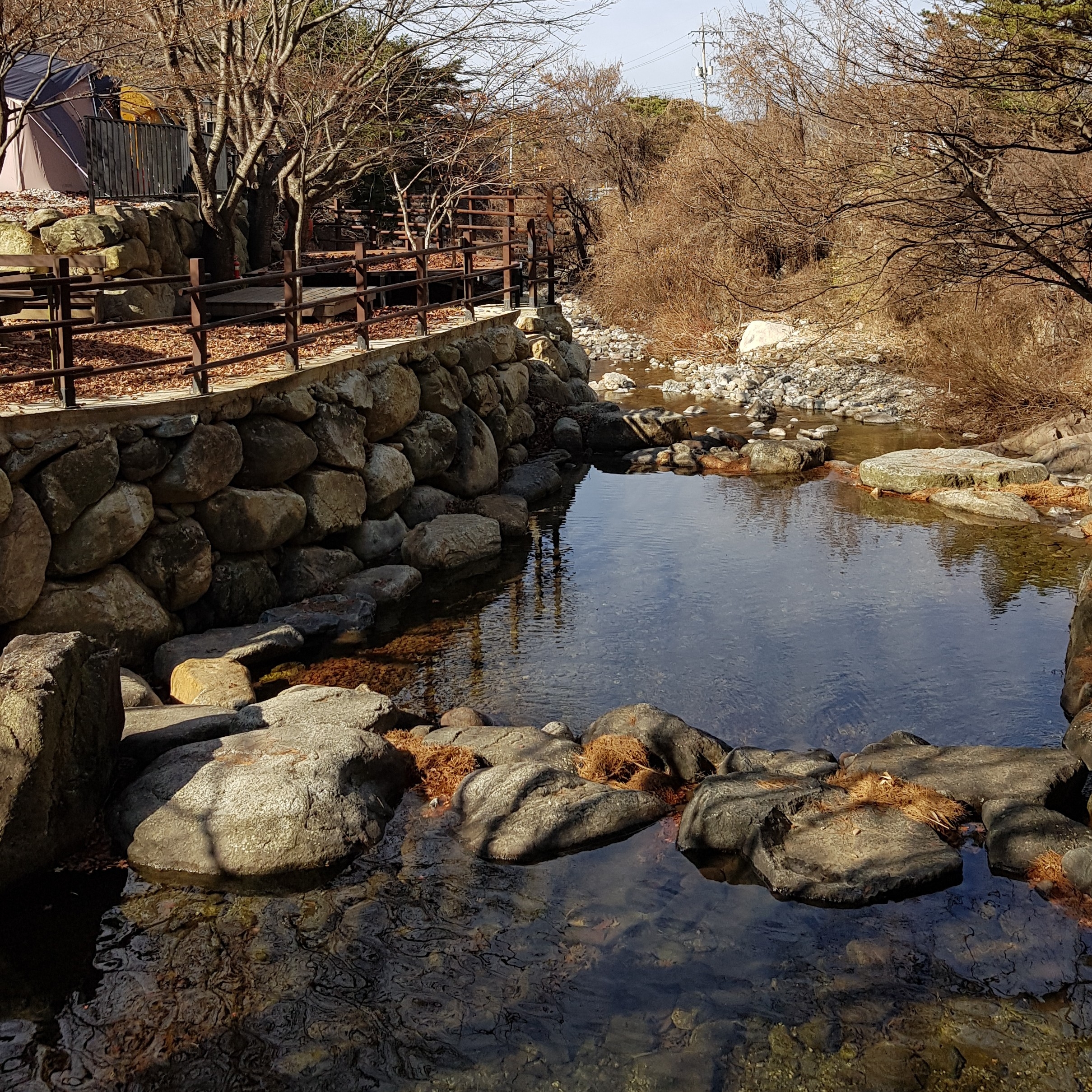 ab***** profile image