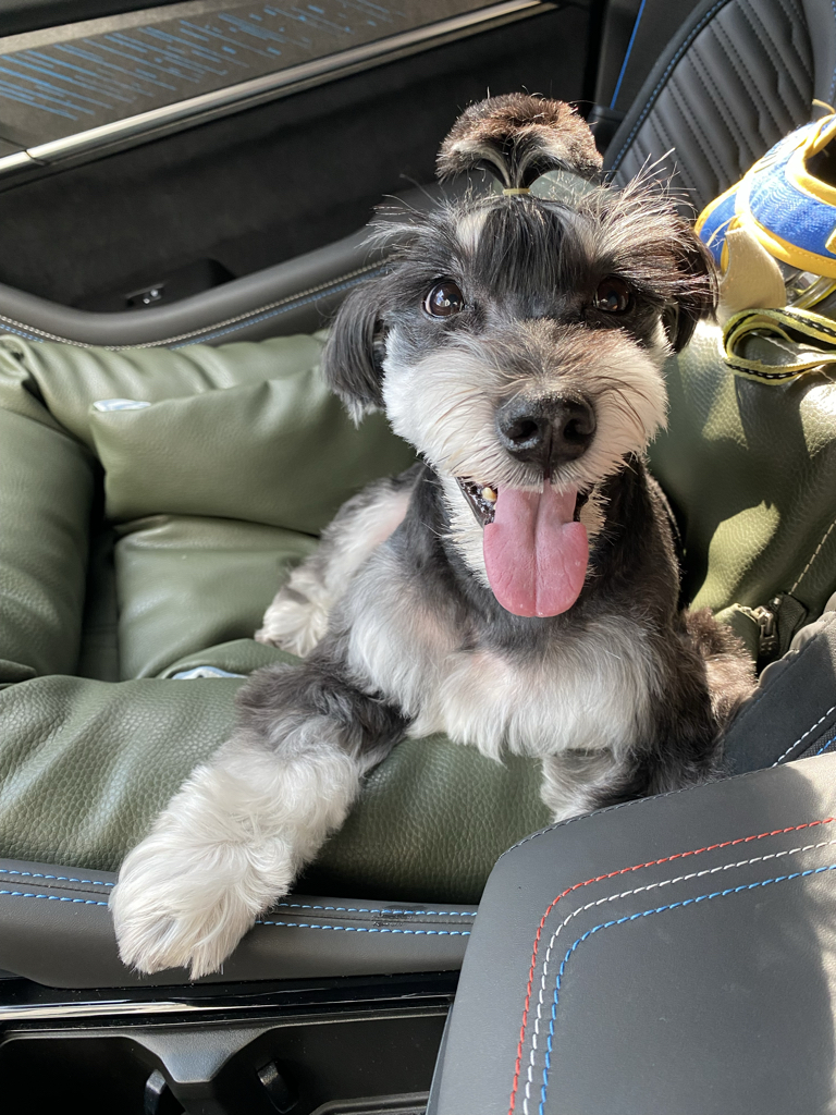 ly***** profile image