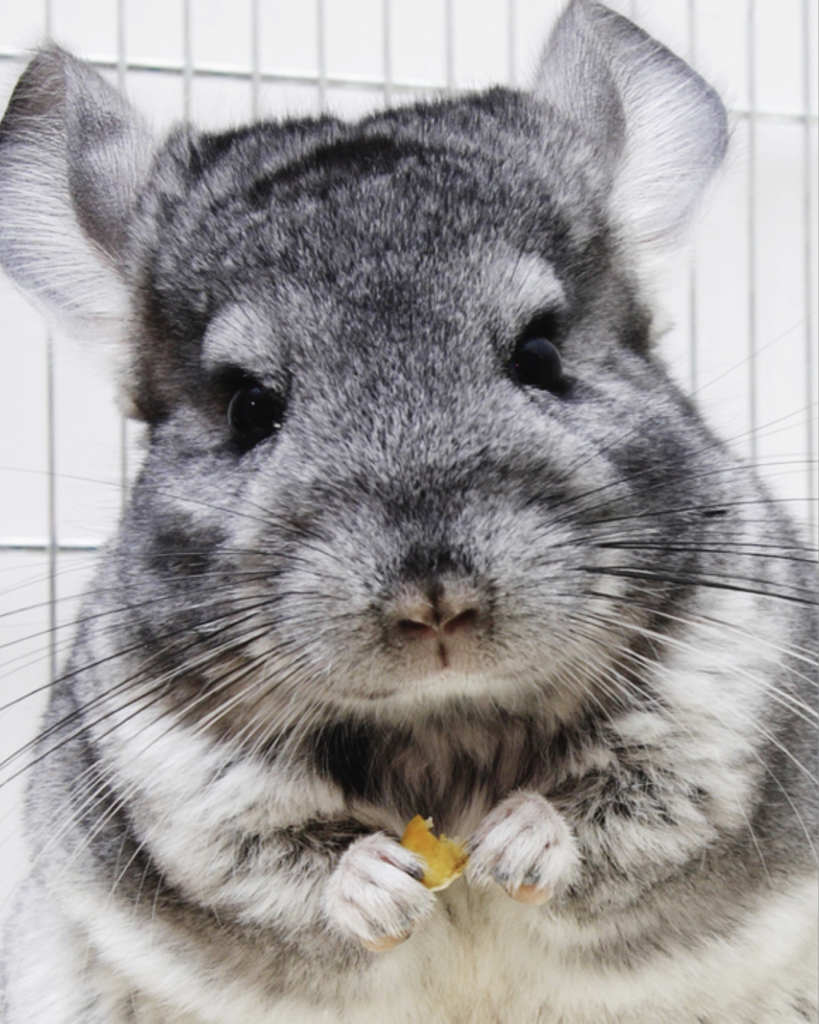 yj************** profile image