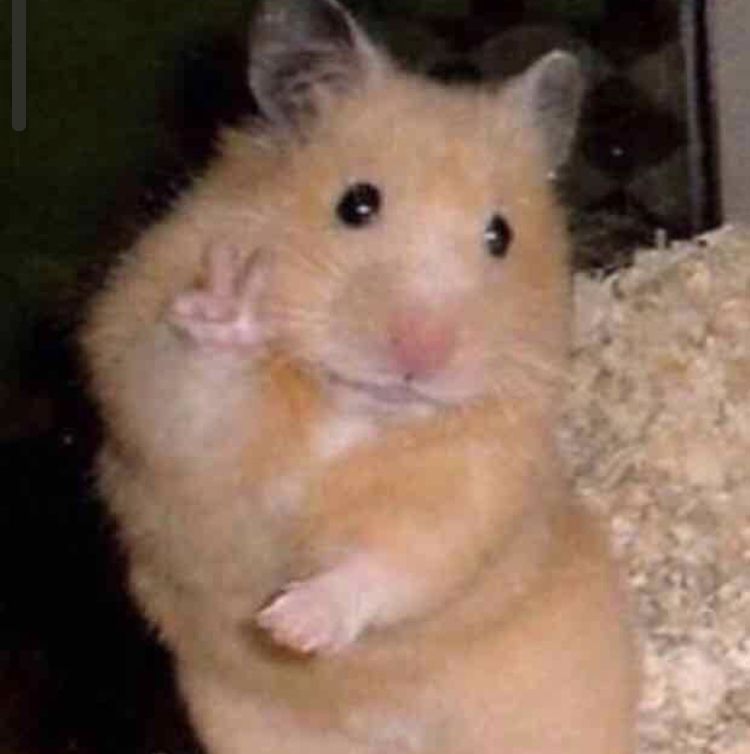 p2******** profile image