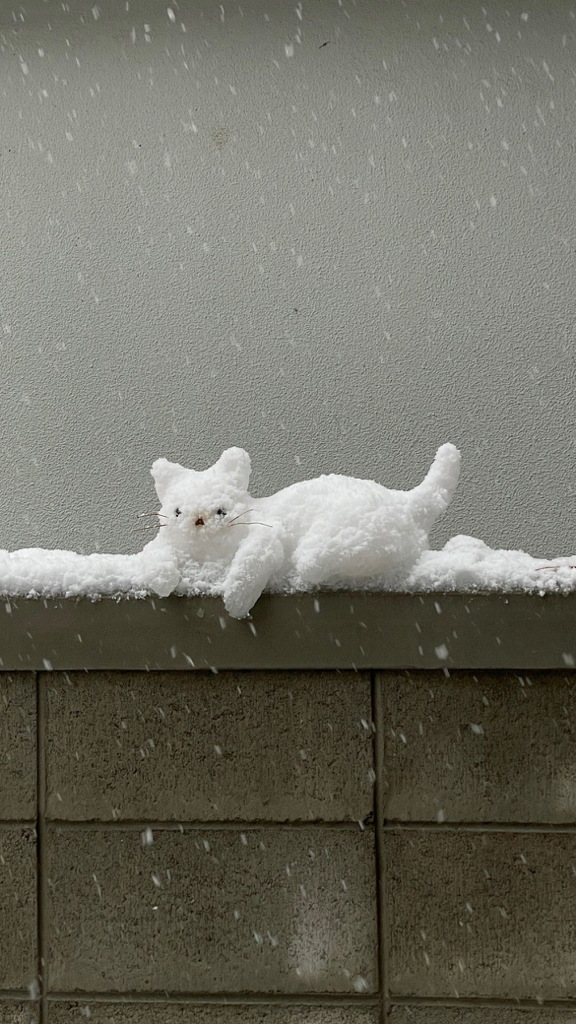 ji****** profile image