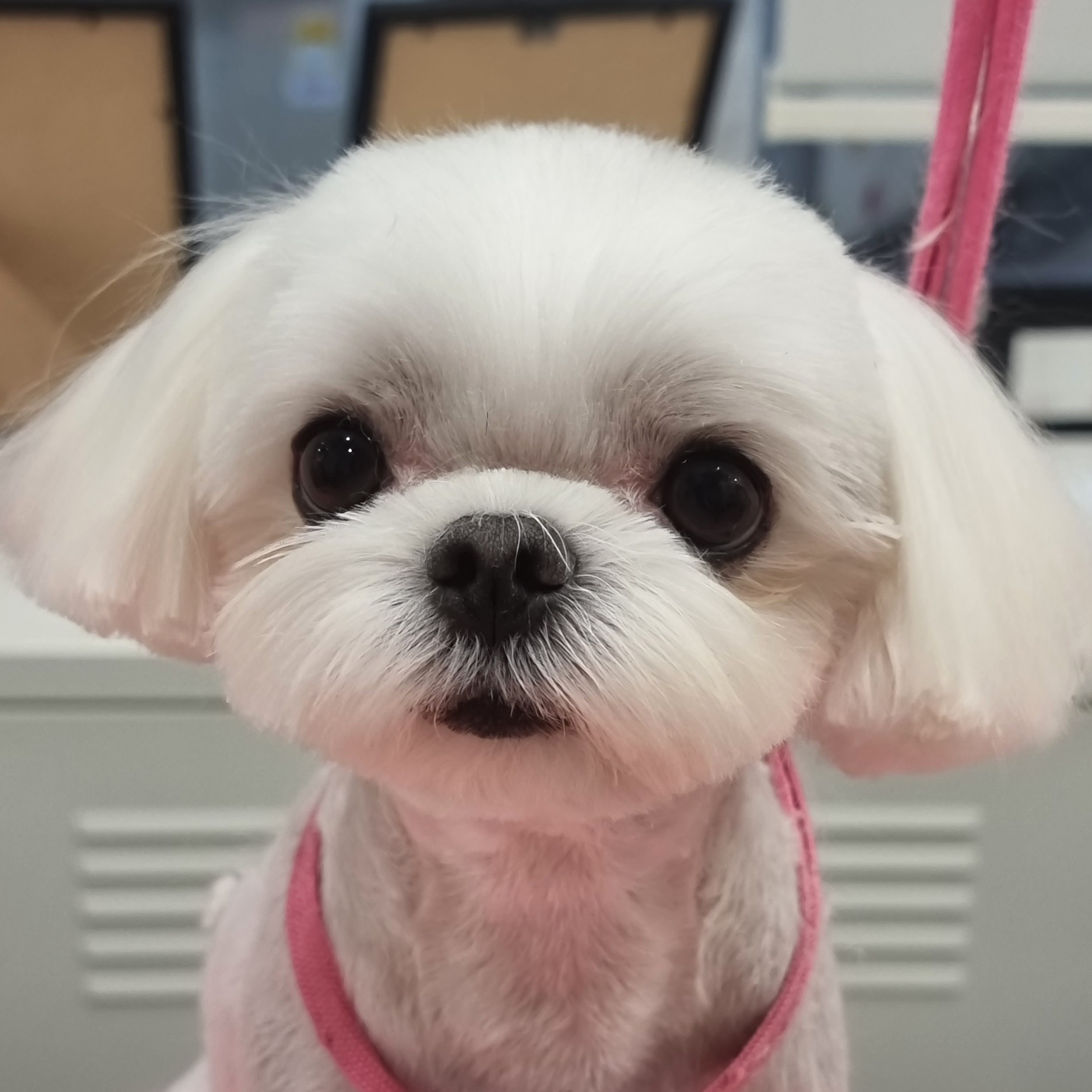 fe******** profile image