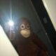 do******* profile image