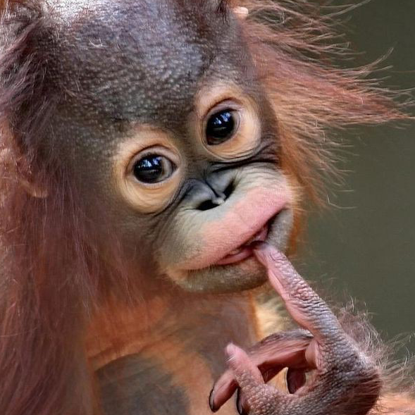 ki******** profile image