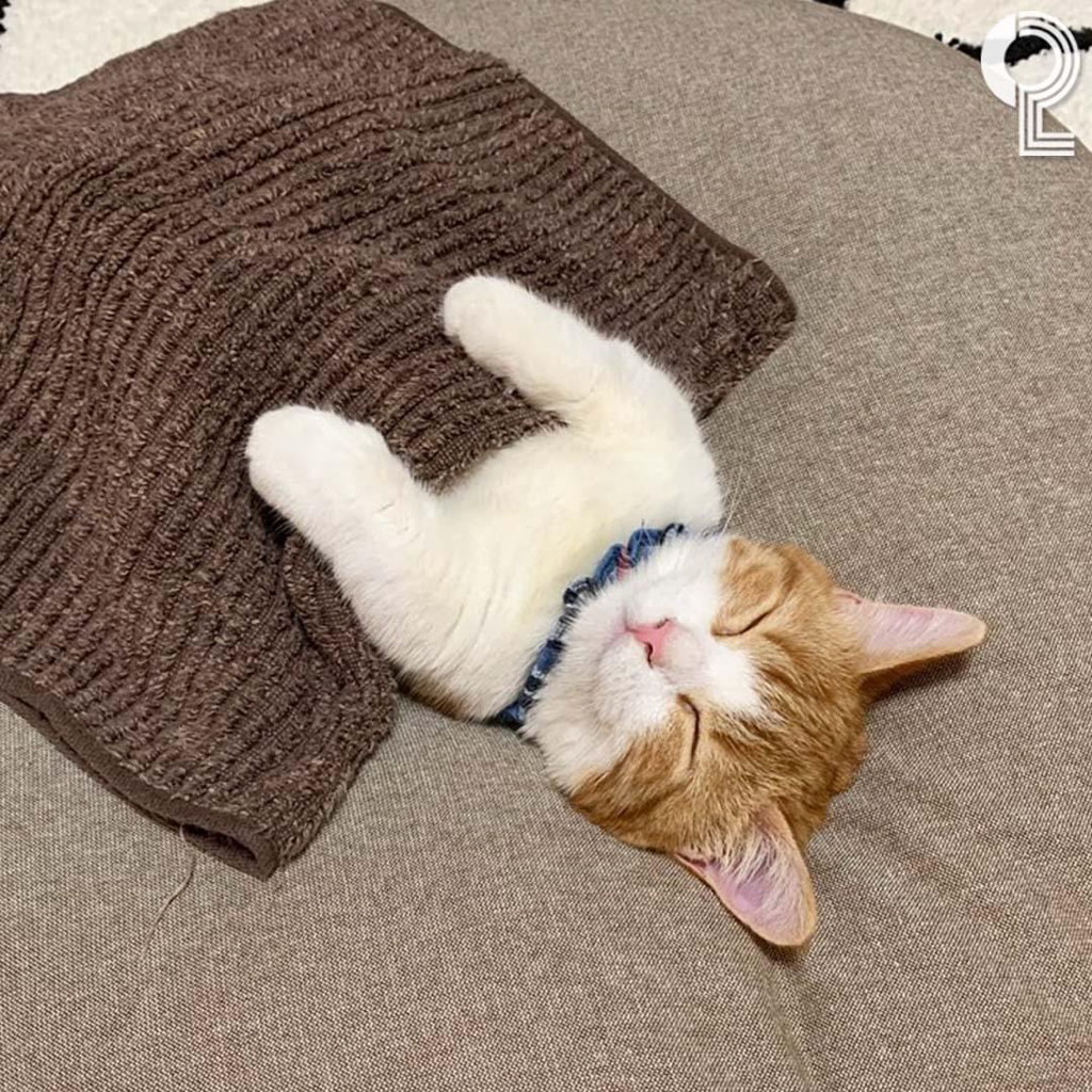 yu****** profile image