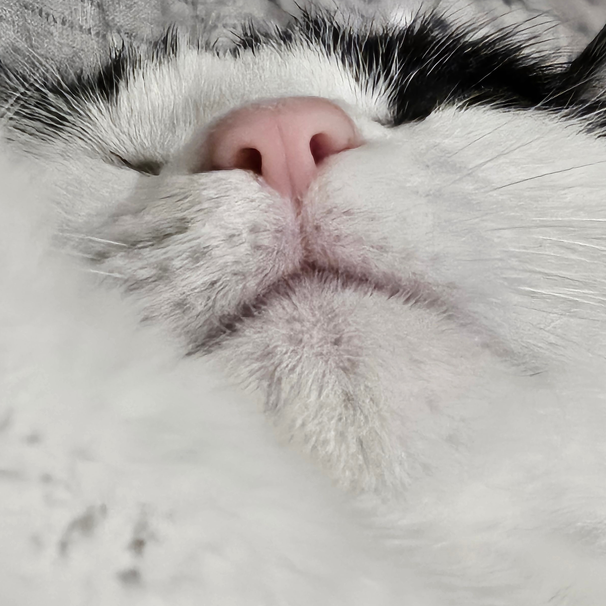 ji******** profile image