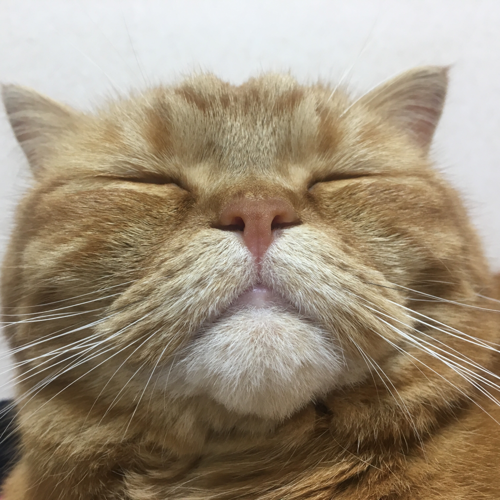 sk******* profile image