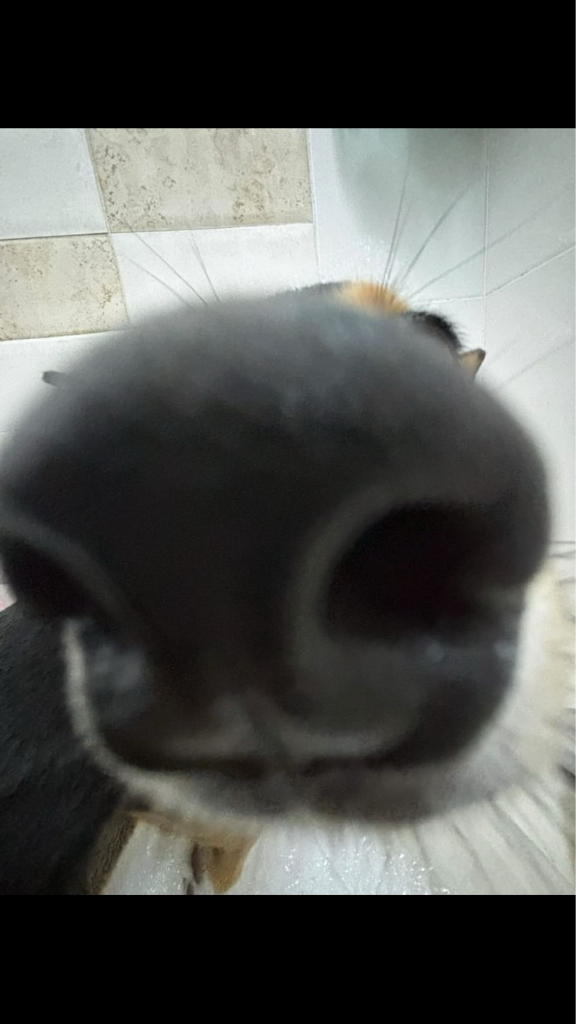 2g******** profile image