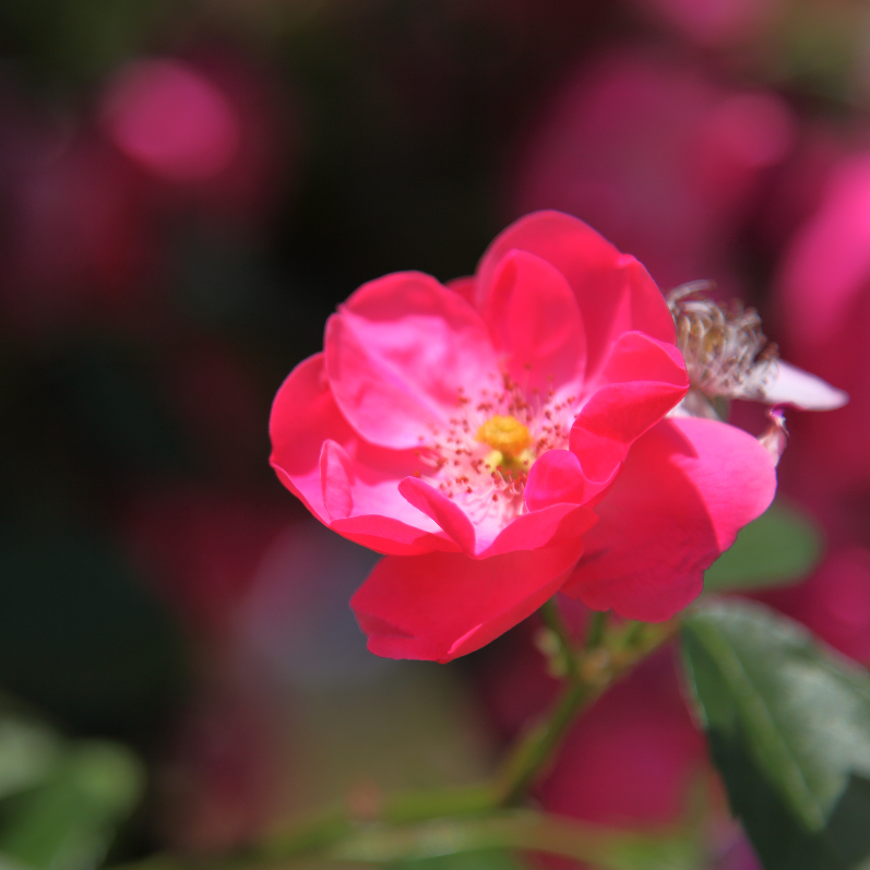 ja******** profile image