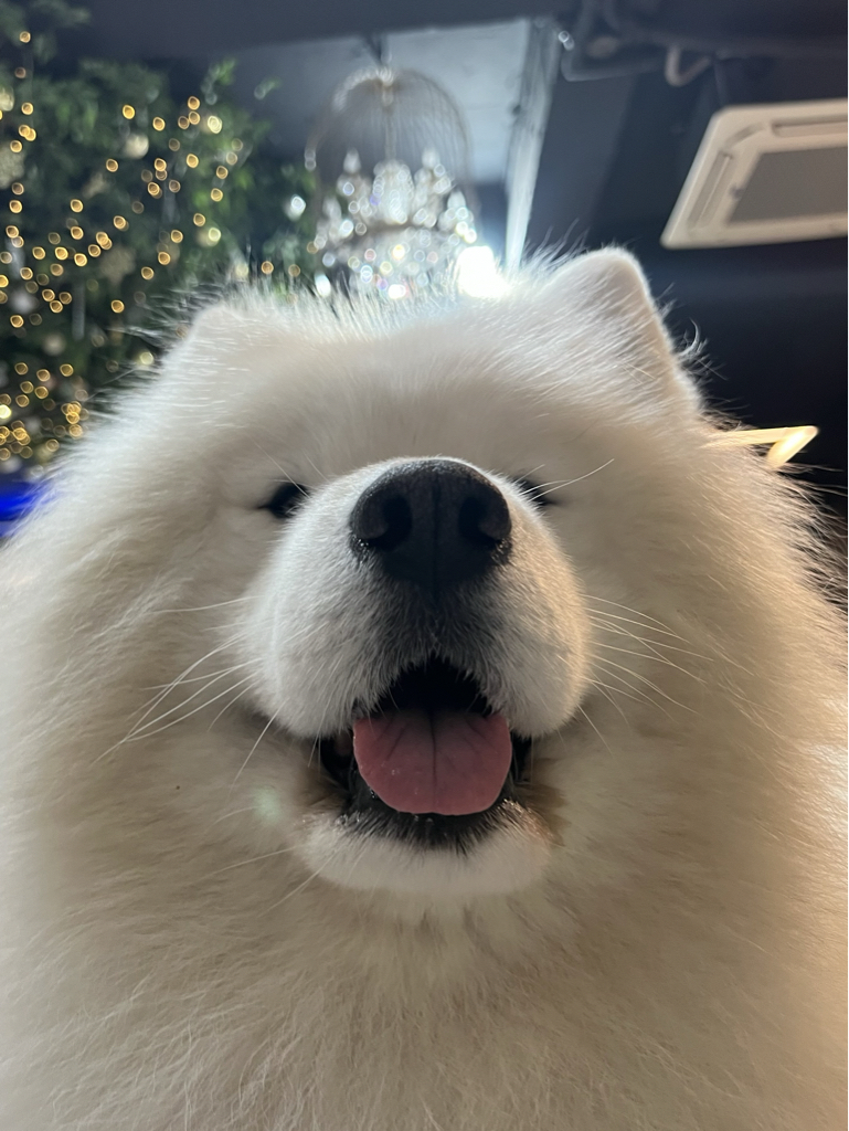 9d******** profile image