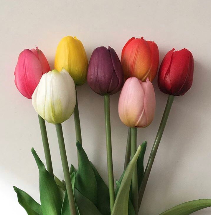 as******* profile image