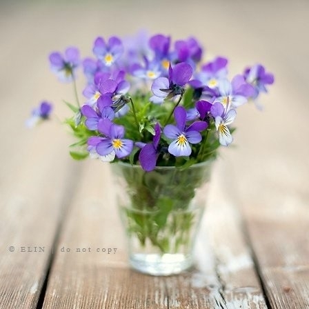 yj****** profile image