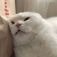 ha********* profile image