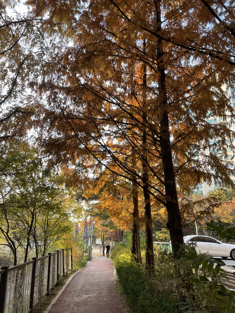 ji******** profile image