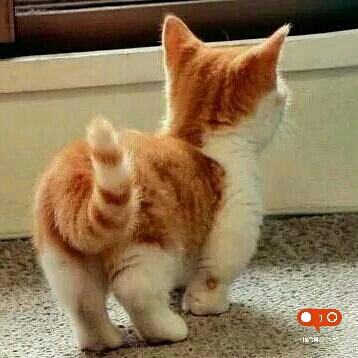 ou****** profile image