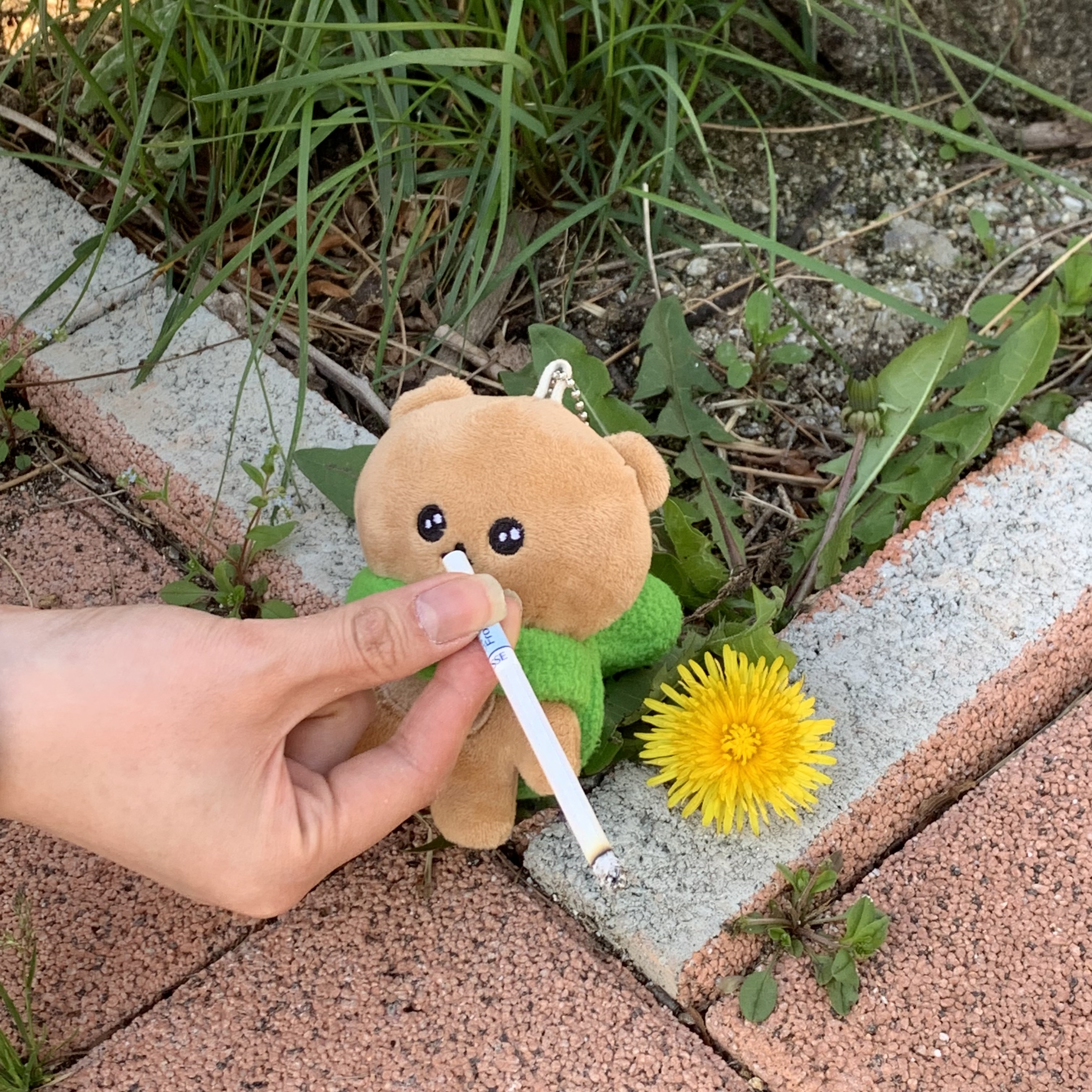 wl****** profile image