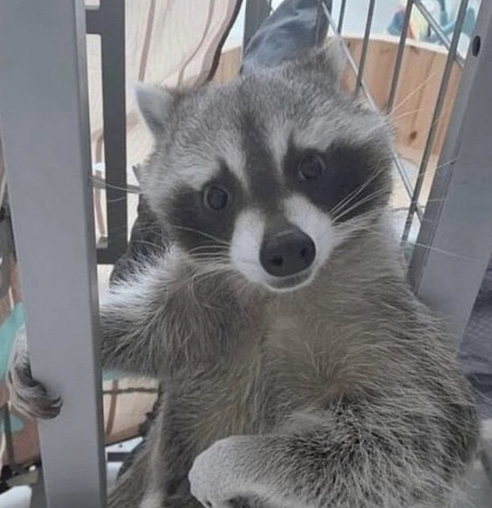 fr****** profile image