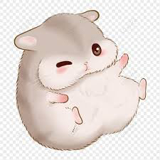 yi**** profile image