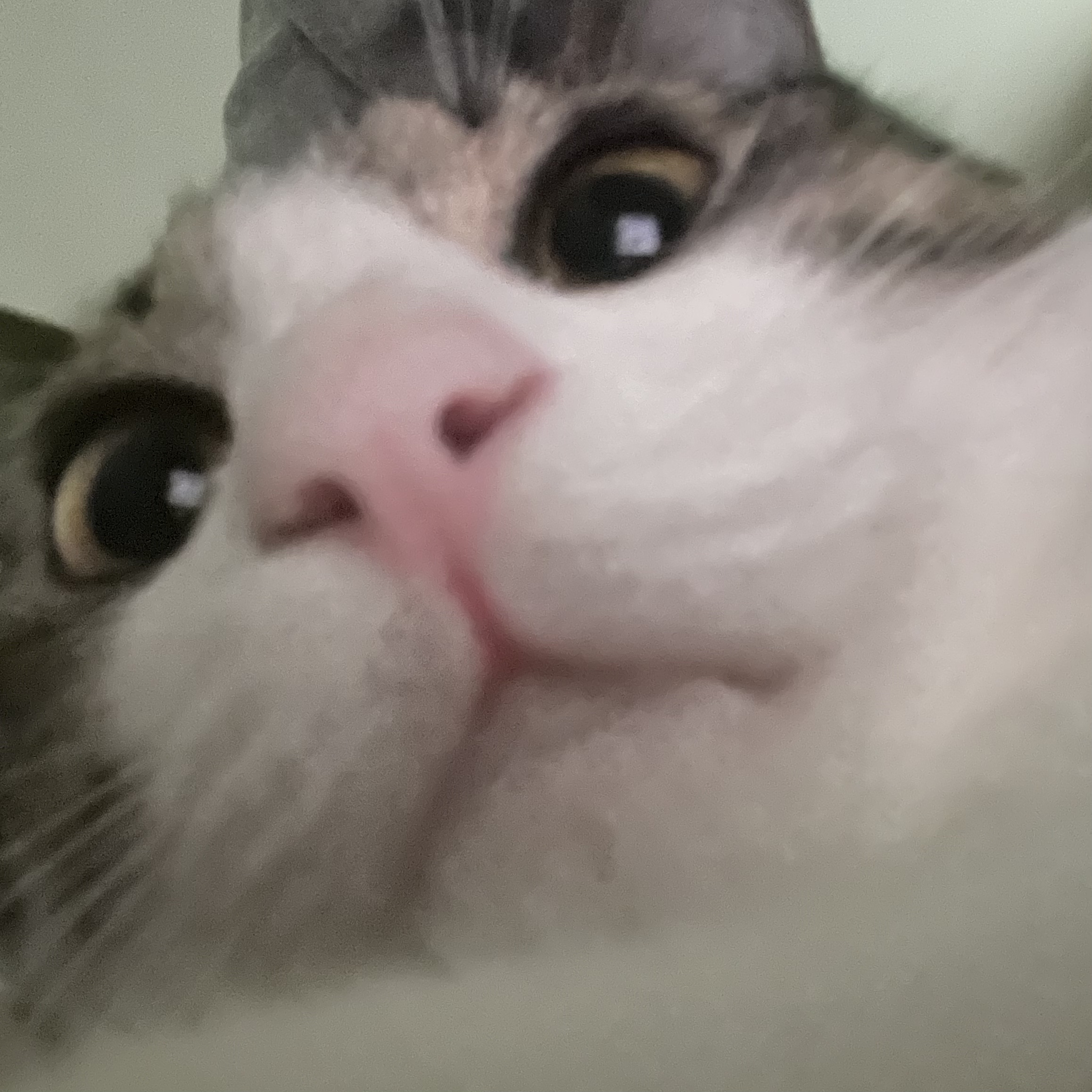 du******* profile image