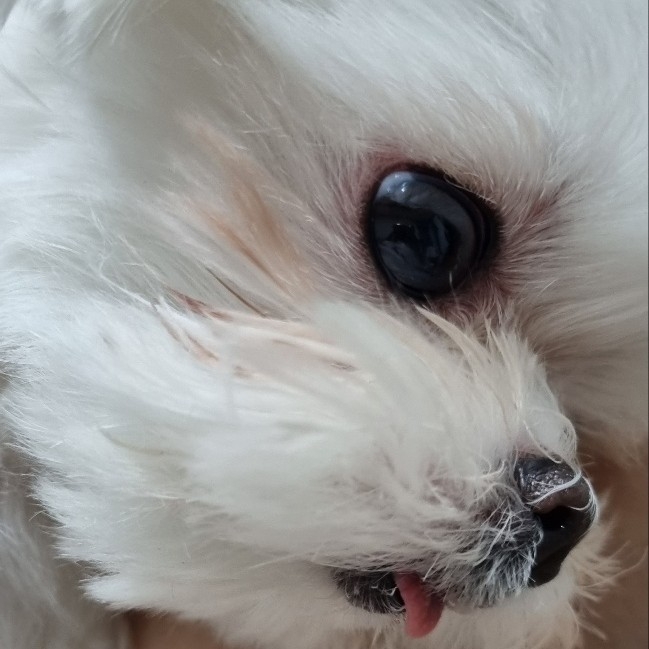 du******** profile image