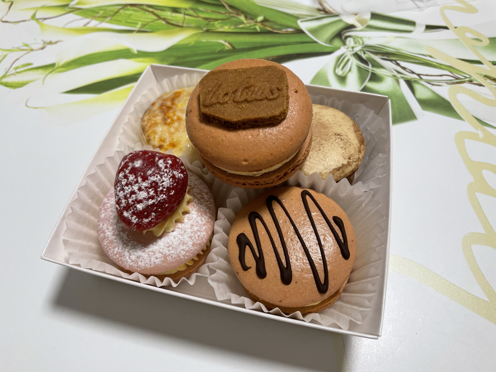 pu******** profile image