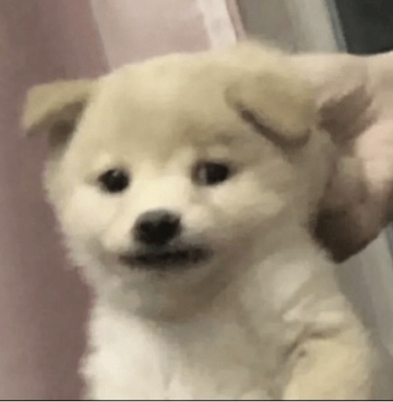 Hwahae User profile image