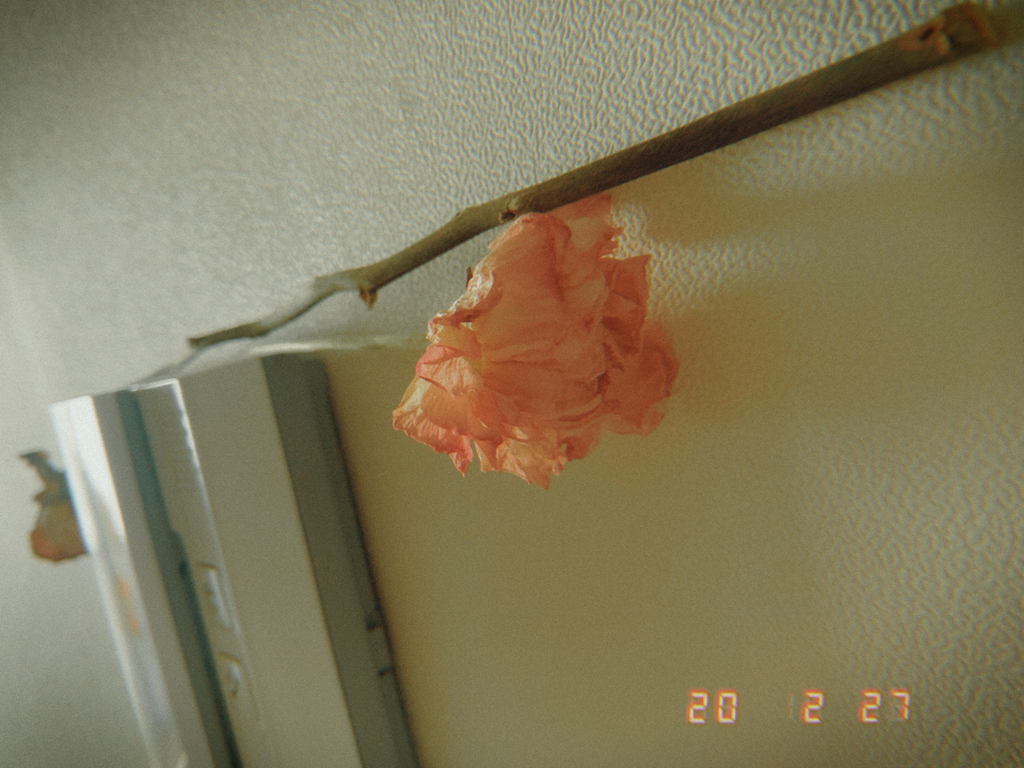 o_***** profile image