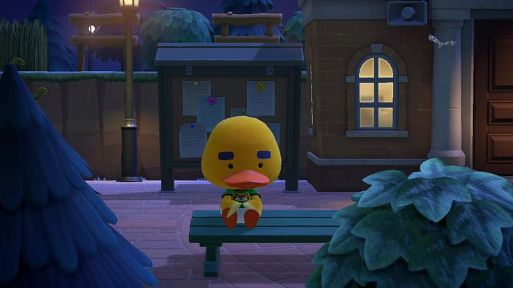 se******** profile image