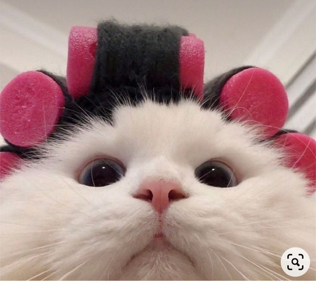 qw****** profile image