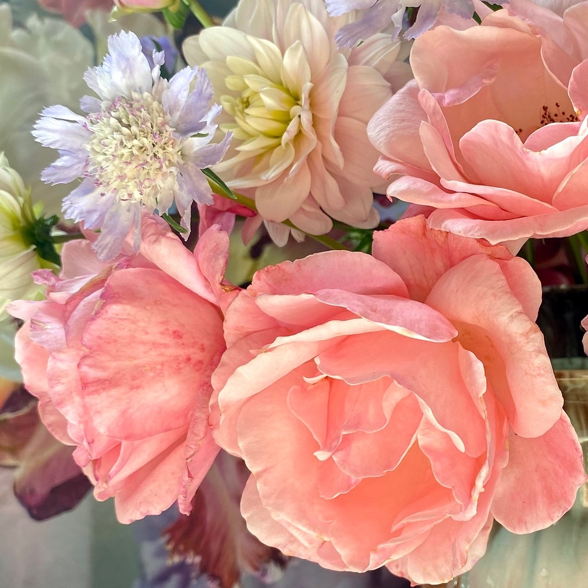 mh******** profile image