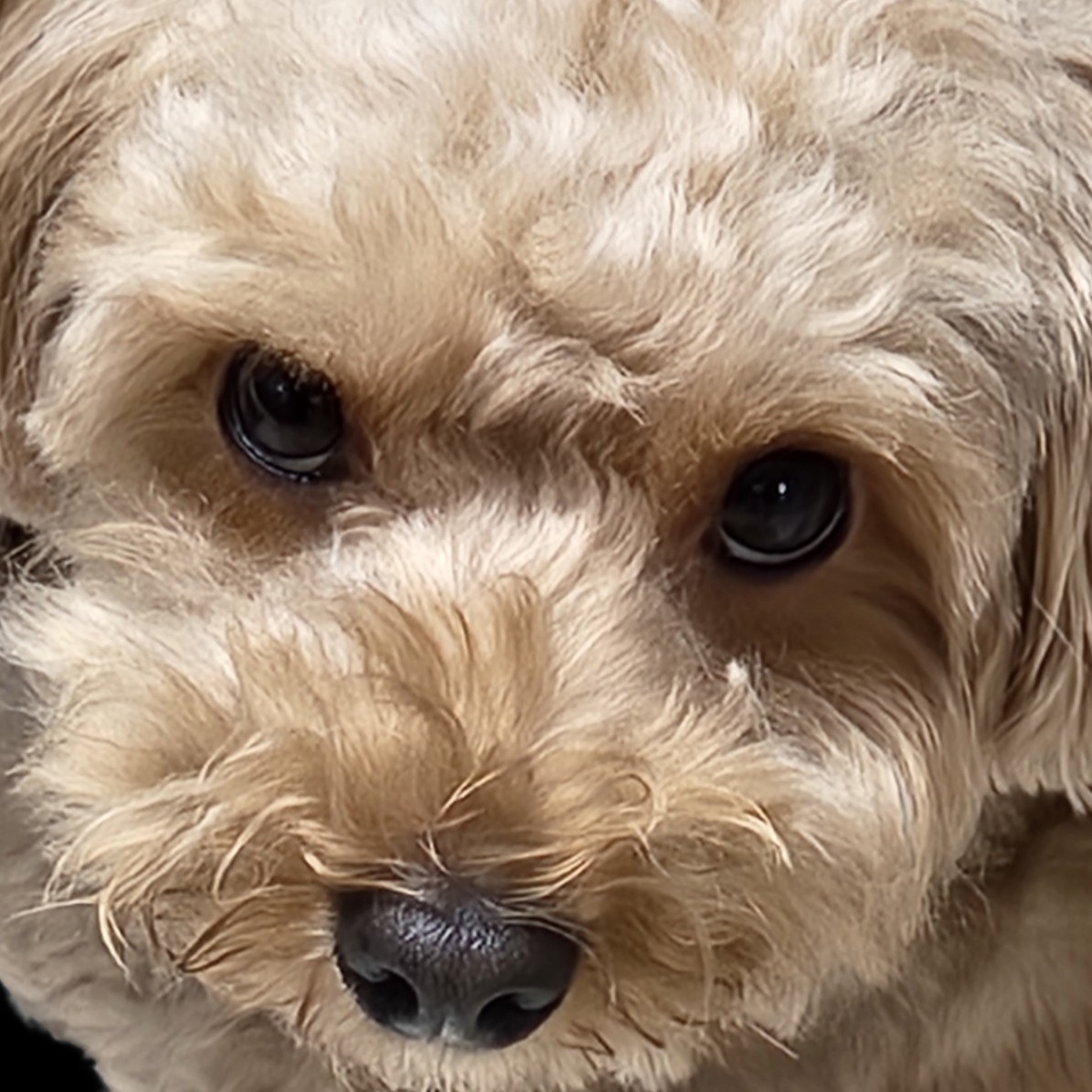 ga******* profile image