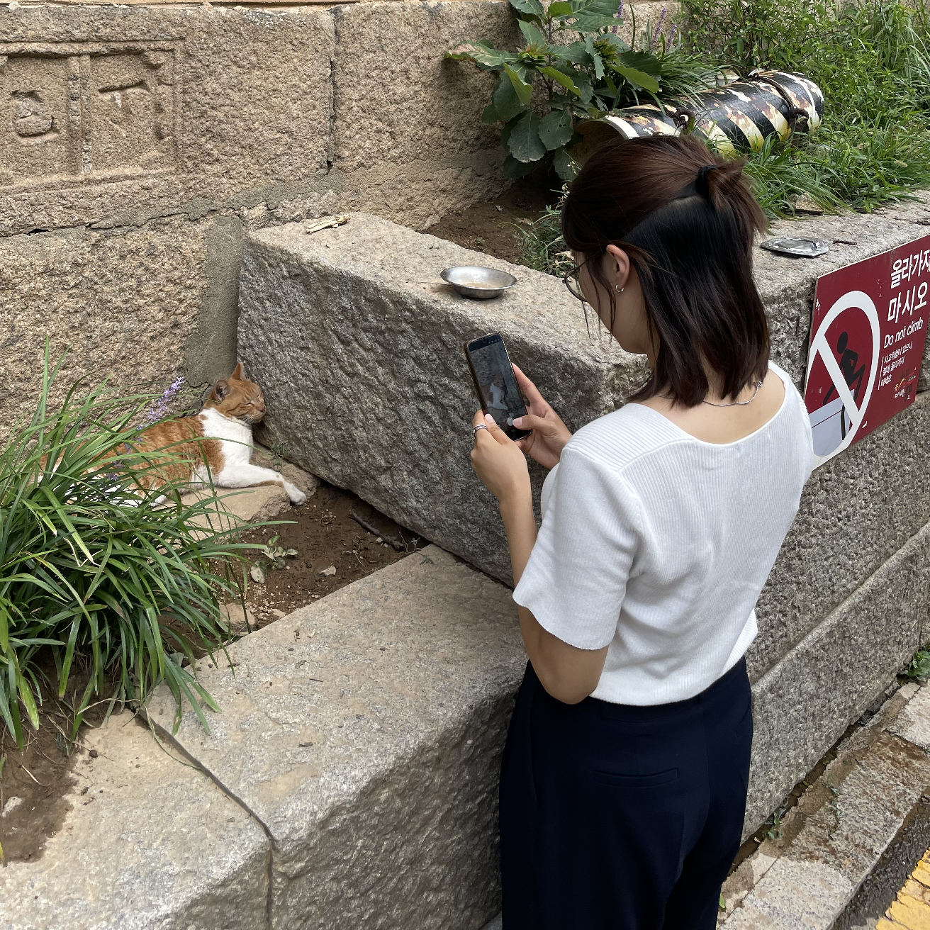 dh******** profile image