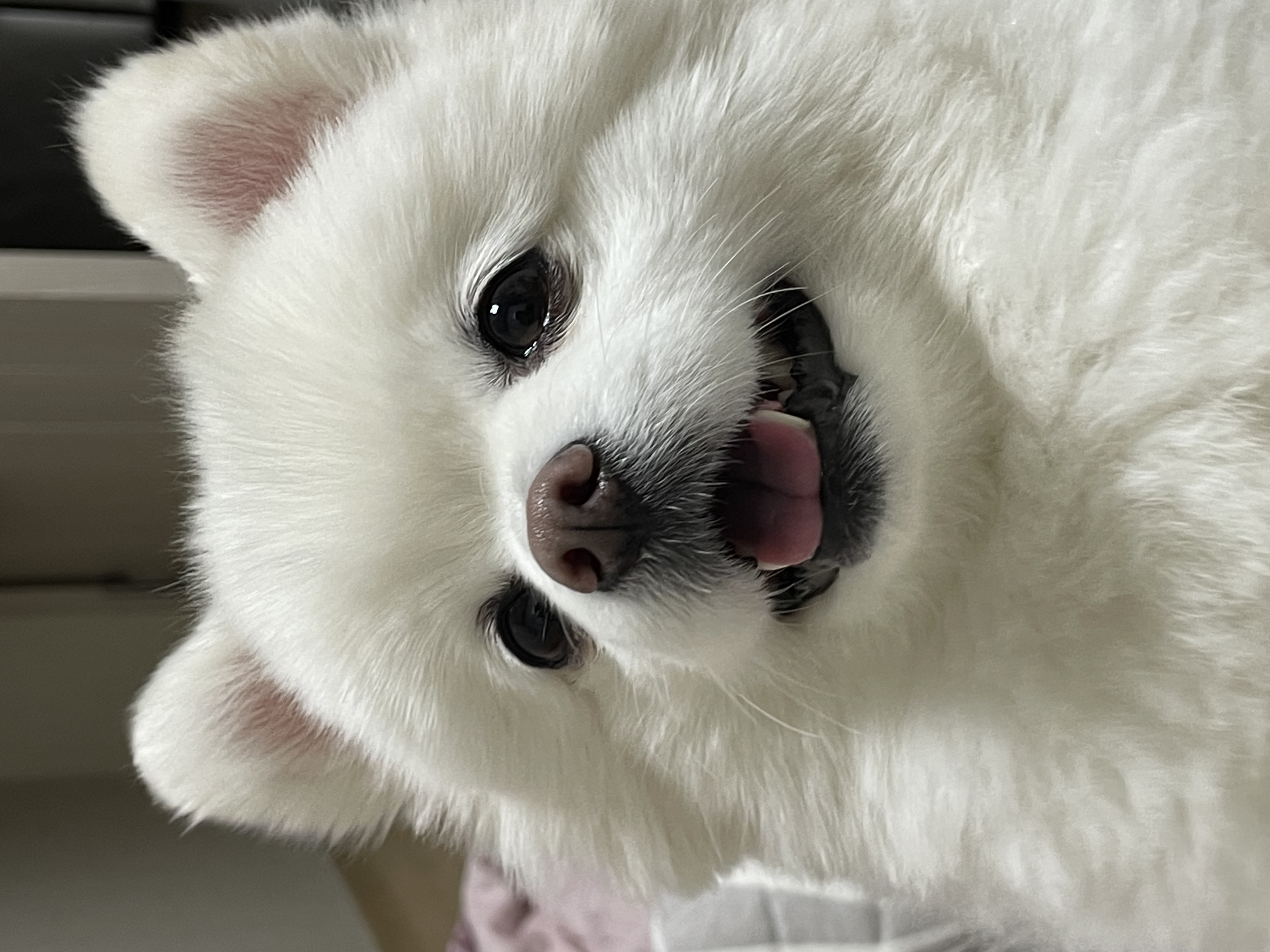 ye****** profile image