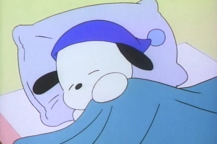 sh******* profile image