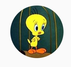 qk********** profile image