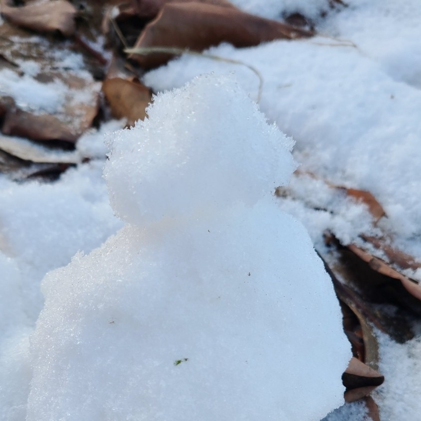 ll****** profile image