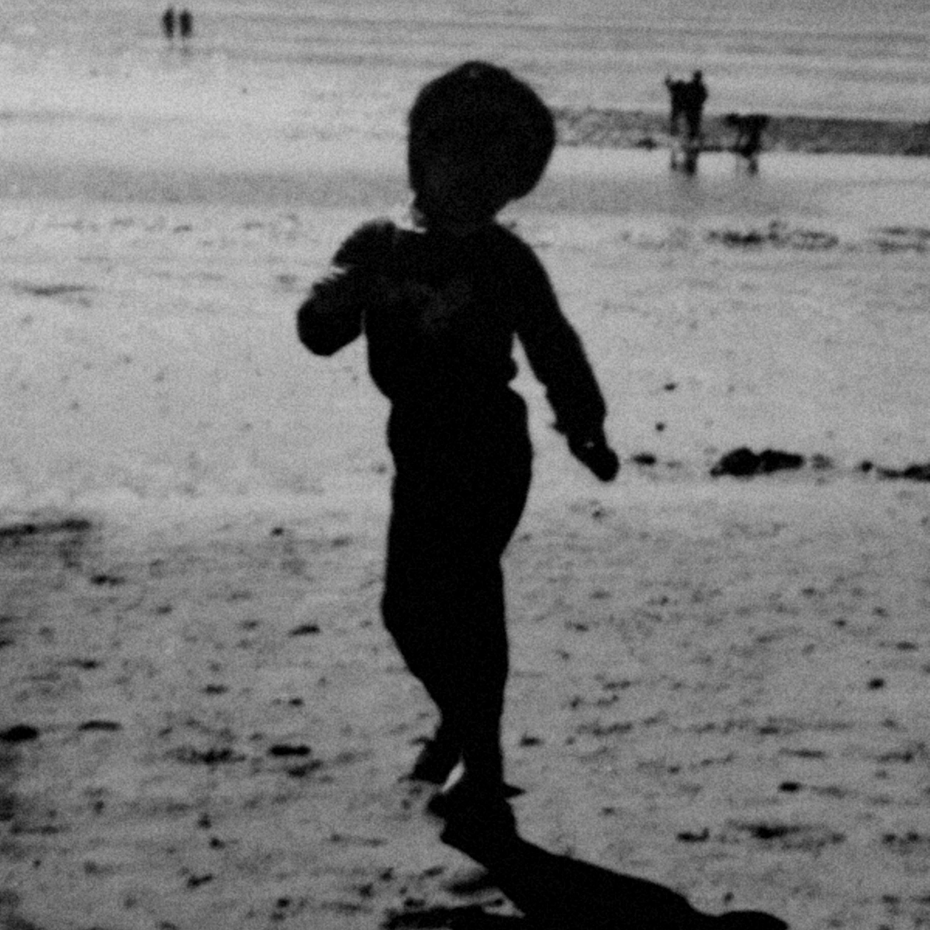 da************ profile image